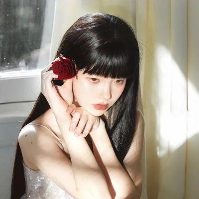 案中案