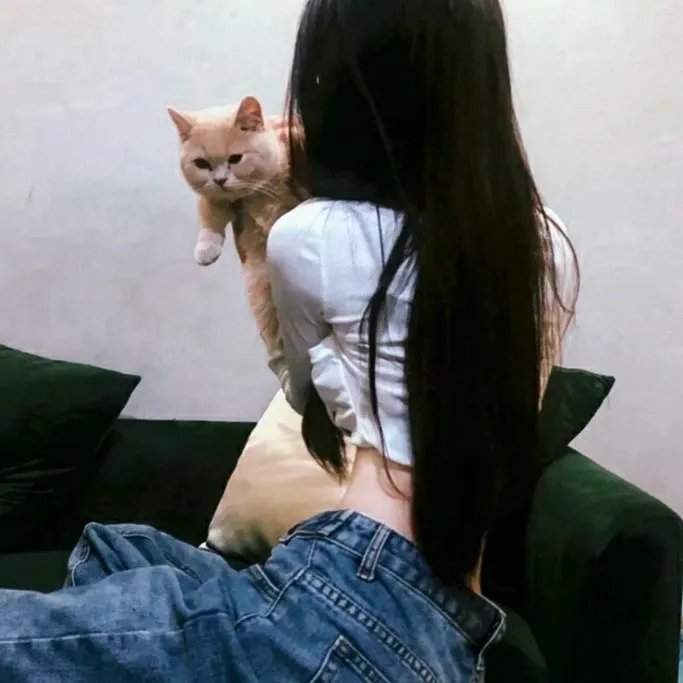亿万神犬